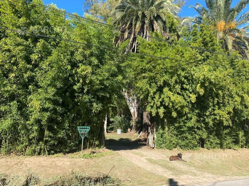 Imagen 5 de 9 de Lote En Venta En Maaschwitz- Maroto Propiedades