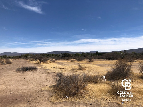 Terreno En Venta, Huichapan, Hidalgo