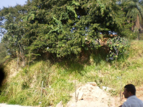 Lote Oportunidade 395m² - 1020