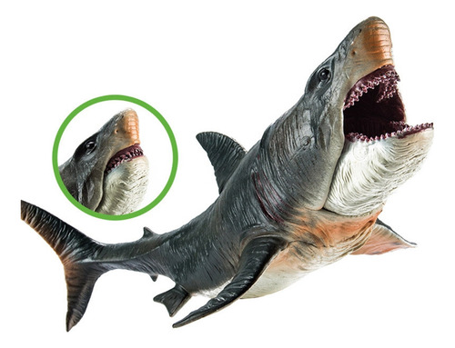 Juguete De Megalodón Oceánico Realista De Figure Scientific