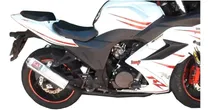 Comprar Escape Yoshimura Completo Zanella Rz3 250 \u002F 300