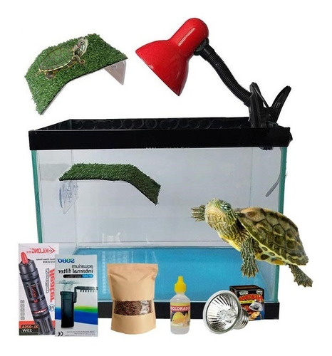 Combo Acuaterrario Tortuguero Con Accesorios Lampara Luz Uvb