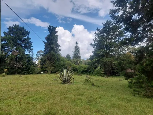 Lotes En Venta Llanogrande 743-7717