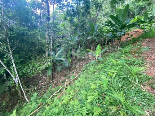 Imagem 5 de 17 de Terreno À Venda No Bairro Moura - Canelinha/sc - 2171t