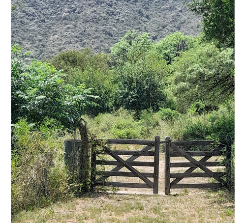Dueño Directo Vende Campo 78 Hcts San Luis Norte, Al Pie De Las Sierras Altas, Paraje La Majada, Bosque , Acequias, Sierras, Belleza Y Pureza......