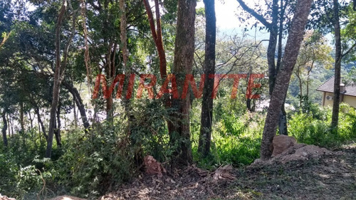 Imagem 2 de 4 de Terreno Em Serra Da Cantareira - São Paulo, Sp - 327082