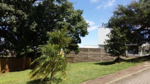 Terreno Em Hipica - Mi14738