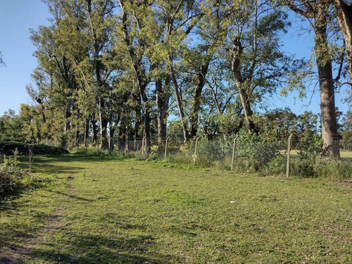 Imagen 13 de 21 de Terreno En Venta - La Lonja - Pilar