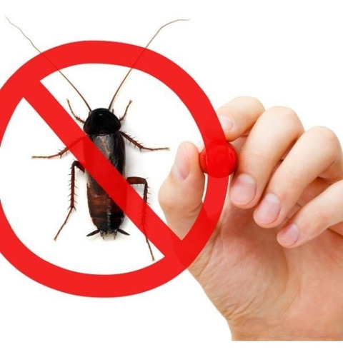 Acido Borico Elimina Hongos De Los Pies Y Mal Olor 250 Grs