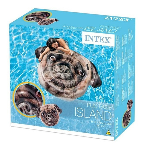 Imagen 6 de 8 de Inflable Para Pileta Intex Perrito