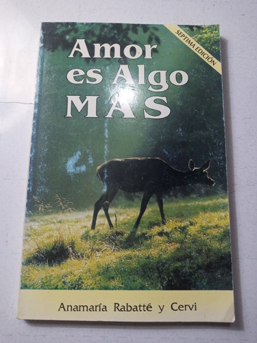 Libro. Amor Es Algo Más, Ana María Rabatté Y Cervi