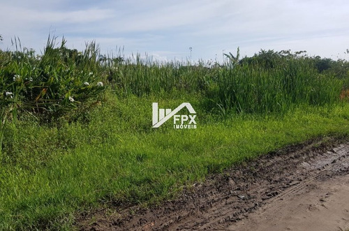 Imagem 2 de 4 de Terreno Na Praia Litoral Sul Próximo Rodovia Ref.ter089/dz