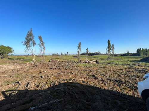 Vende 241 Hás En Parral - Región Del Maule