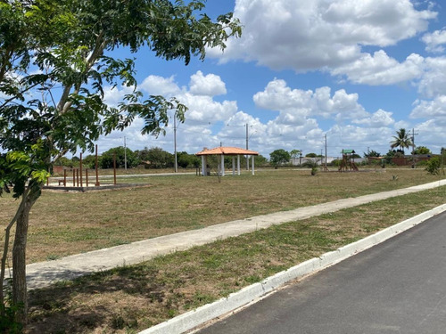 Imagem 13 de 30 de Terreno - Ak01719a6 - 67869489