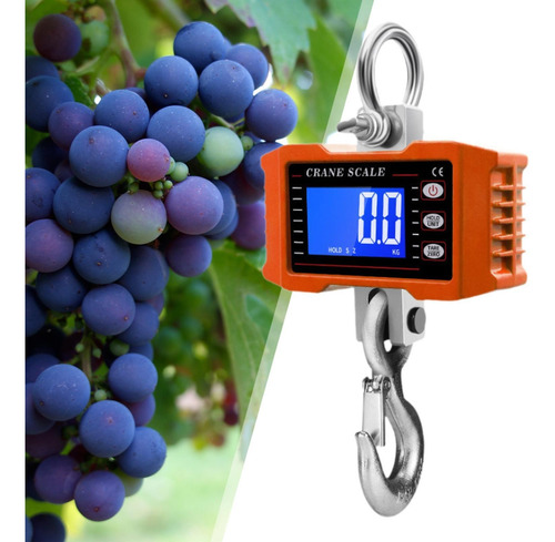 Báscula Colgante Para Equipaje, Báscula Naranja 1000kg
