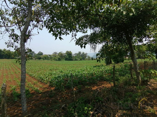 Terreno En Coacoatzintla Tierra Fertil