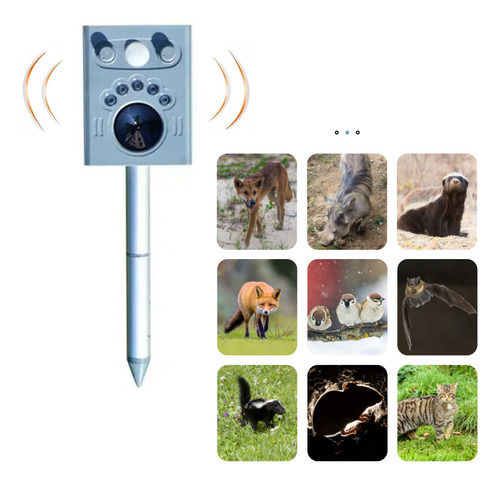 El Dispositivo De Sonido Asusta A Los Gatos, A Los Perros, P