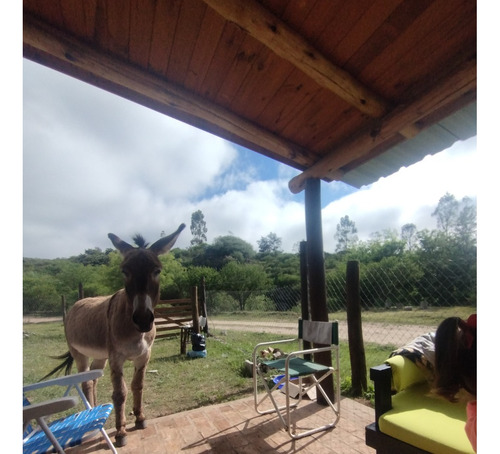 Vendo Casa, Sierras De Cordoba- La Falda.