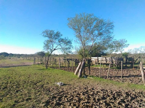 Imagen 5 de 14 de Campo En Gualeguaychú 23,5 Ha Con Playa Natural