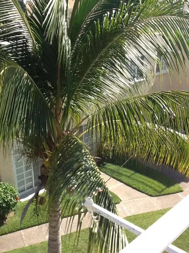 Casa En Venta Punta Diamante, Acapulco