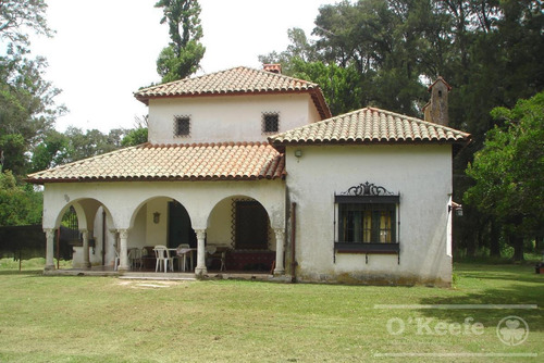 Campo Mixto En Venta De 228 Has Sobre Ruta 29 -en Brandsen