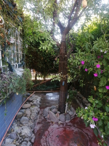 Casa En Venta 3d Y 2b Larapinta Comuna De Lampa