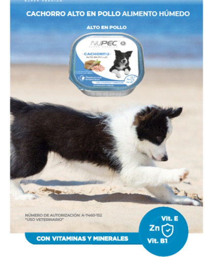 Nupec Cachorro 20 Kg + 5 Latas Alimento Húmedo Perro