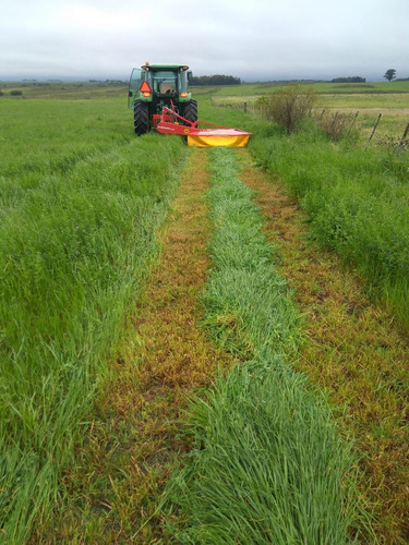 Segadora De Tambores Minos 1.90 Mts Maquinaria Agricola