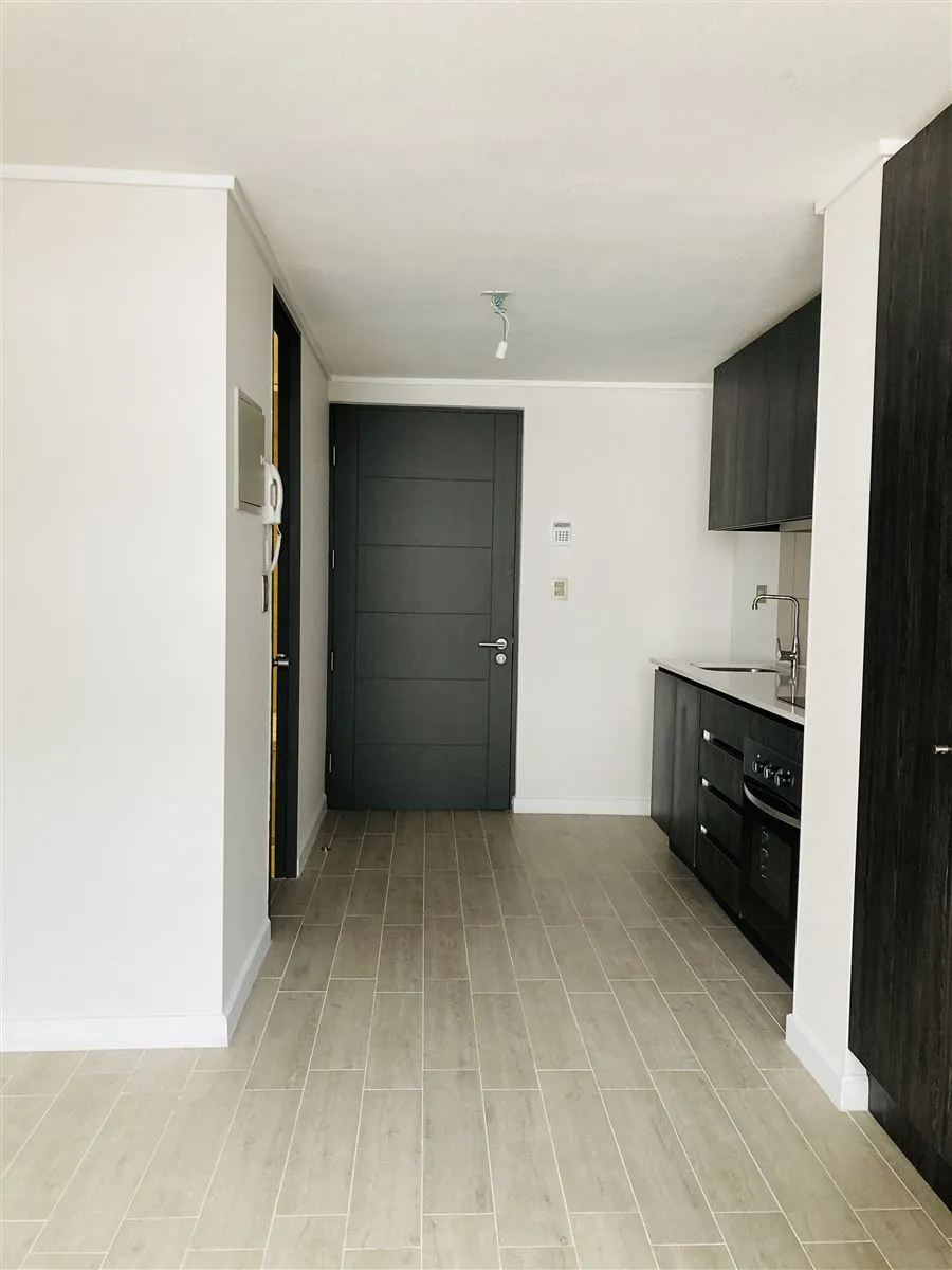Imagen 3 de 17 de Venta Estudio Sin Uso , Frente Al Parque O'higgins