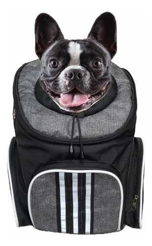 Maleta Tipo Morral  Para Mascotas Gato Perro