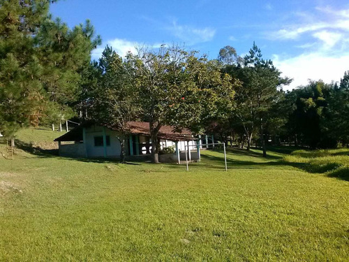 Imagem 3 de 30 de Sítio, Pra Quem Gosta Só Curtir, Pasto, Nascente, Lago, Córrego - V27