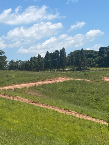 Chácara Em Caucaia Do Alto
