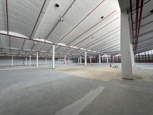 Depósito Logistico En Alquiler 10.000 M2 - Pompeya