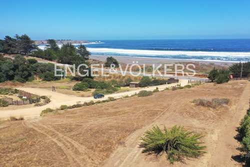 Exclusivo Terreno En Punta De Lobos