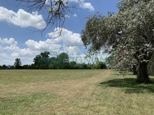 Imagen 7 de 13 de Terreno En Venta En Club De Campo La Ranita