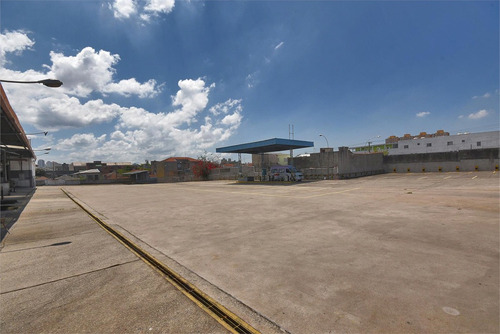 Imagem 4 de 22 de Comercial-são Paulo-lapa | Ref.: Reo459981 - Reo459981