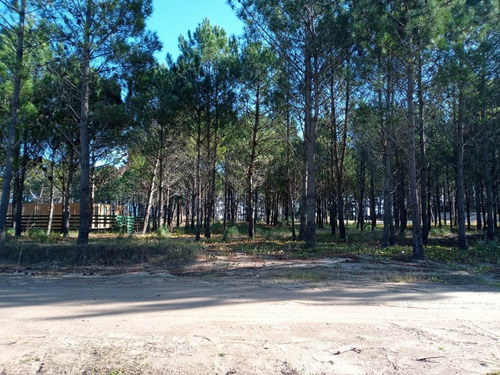 Imagen 8 de 9 de Vendo Lote Barrio Pioneros Pinamar