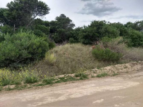 Terreno En Venta - 15x33,75 - 562mts2 - Coronel Dorrego