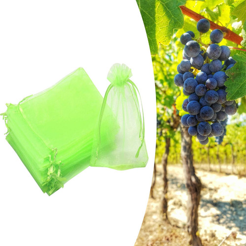 Bolsas De Red De Frutas 100x Bolsas De Tapa De Frutas Verde