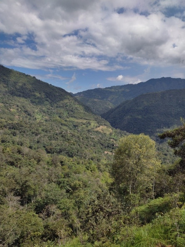 Imagen 5 de 9 de Venta Finca 2 Horas De Bogota