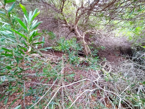 Imagen 2 de 7 de Terreno En Venta En Mar De Las Pampas
