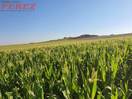 Imagem 10 de 24 de Chácaras_sítios_fazendas Para Venda - 13650.8047