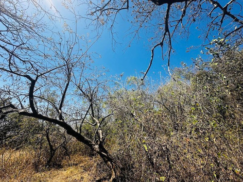 Venta Terreno Comunal Tepoztlan Morelos
