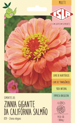 Semente De Zinnia Dobrada Califórnia Salmão Flor