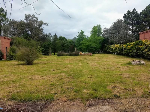 Imagen 3 de 4 de Lote Sin Mejoras En Club De Campo Las Perdices