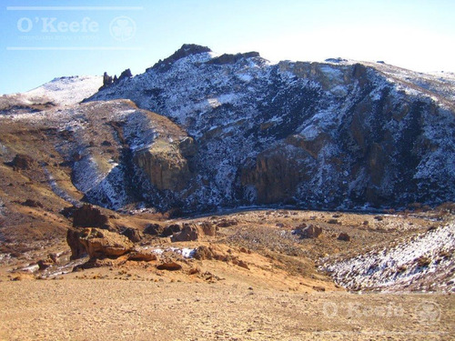 Campo En Venta De 635 Has Bariloche, Costa Del Pichileufu, Rio Negro.