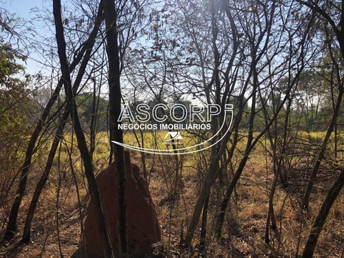 Imagem 20 de 22 de Ótimo Terreno Para Chácara No Ondinhas Em Piracicaba (código Ch00043) - Ch00043 - 69881080