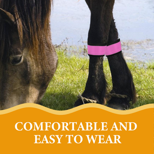 4 Bandas Led Brillantes Para Patas De Caballo, Reflectantes,