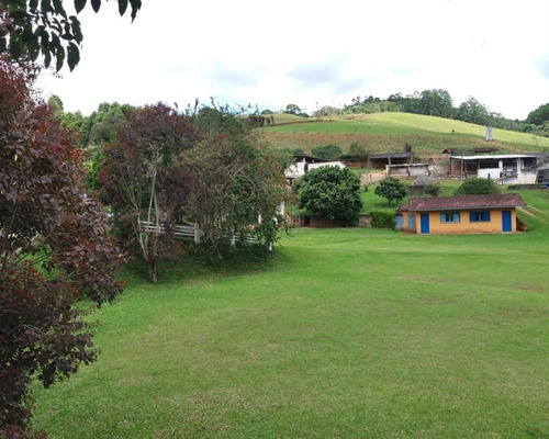 Imagem 3 de 30 de Fazenda Bem Localizada À Venda Em Juquitiba. - 15 - 32982853