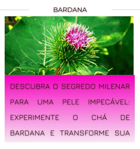 Leve 2 Folhas De Bardana Desidratada Erva Própria P Chá